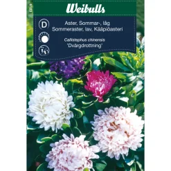 Weibulls Asters lav sommer | Frø