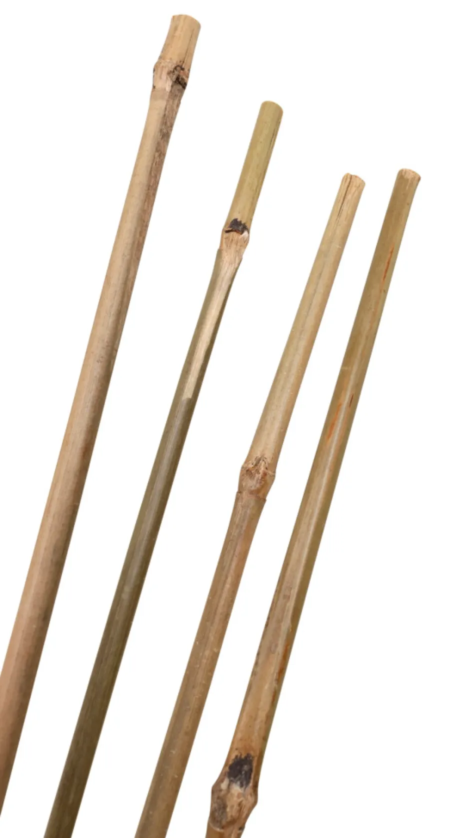 Home it Bambuspinne 150 cm 4 stk. | Bindetråd & Blomsterpinne