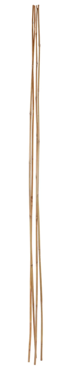 Home it Bambuspinne - 180 cm 4 stk. | Bindetråd & Blomsterpinne