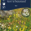 Weibulls Blomstereng blanding big pack | Frø