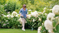 Bosch EasyGrassCut 18V-26 gresstrimmer | Ryddesager & Gresstrimmere