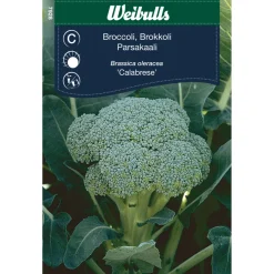 Weibulls Brokkoli - Calabrese | Frø