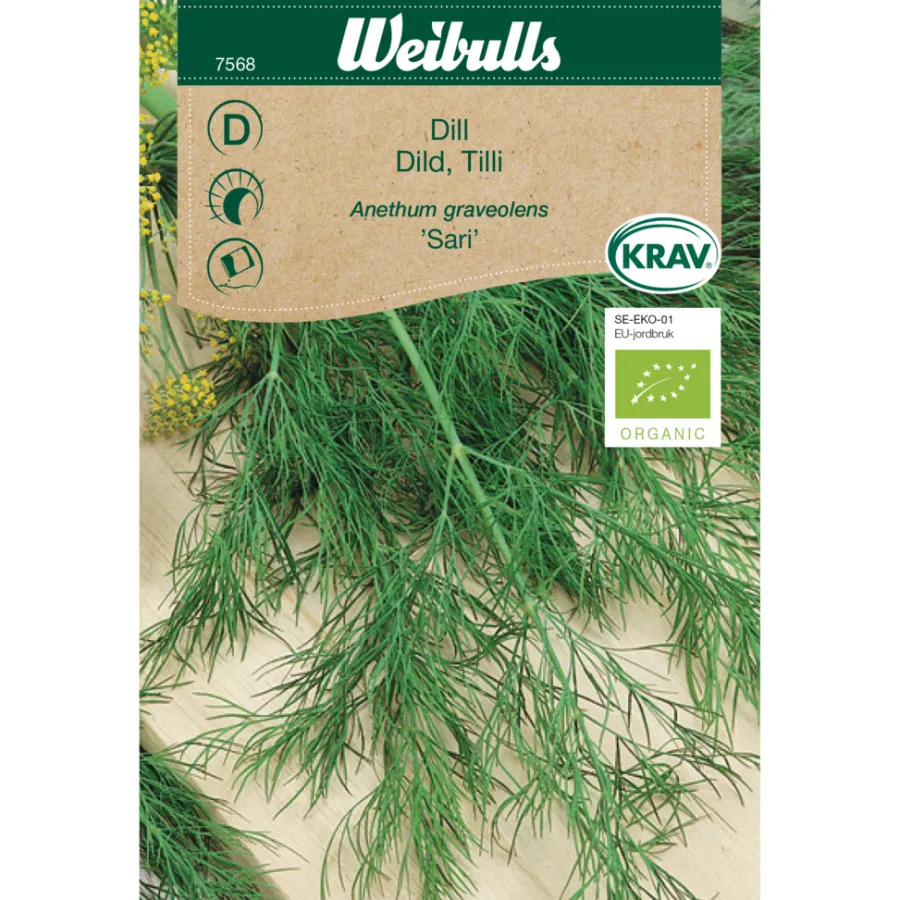 Weibulls Dill økologisk - Sari | Økologiske Frø