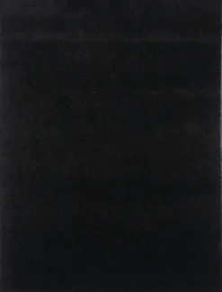 Dørmatte svart 60 x 80 cm | Dørmatter