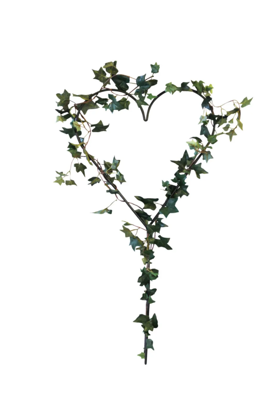 Scan-Pot Espalier hjerteformet - Gardenlife | Espalier