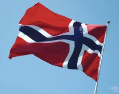 Festplassen Flagg 200 x 145 cm | Flagg & Tilbehør Til Flaggstang