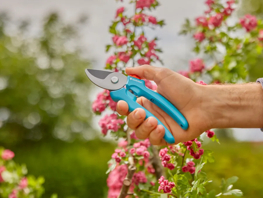 Gardena beskjæringssaks EasyCut | Beskjæring