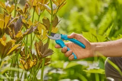 Gardena beskjæringssaks EasyCut | Beskjæring
