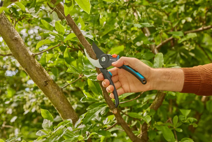 Gardena beskjæringssaks PremiumCut Pro | Beskjæring