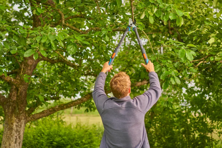 Gardena grensaks TeleCut Pro S | Beskjæring