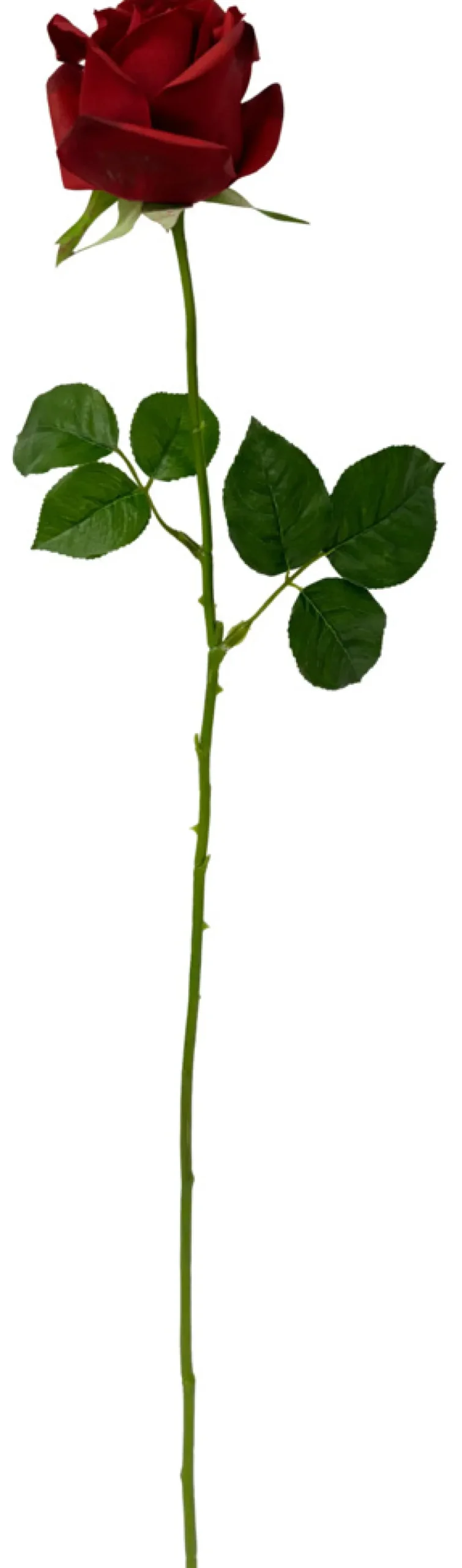GREENIX kunstig rose i cellofan | Kunstige Planter