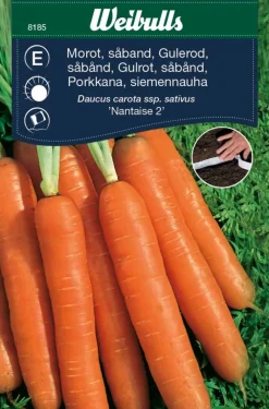 Weibulls Gulrot, sommer 'Nantaise 2' | Frø