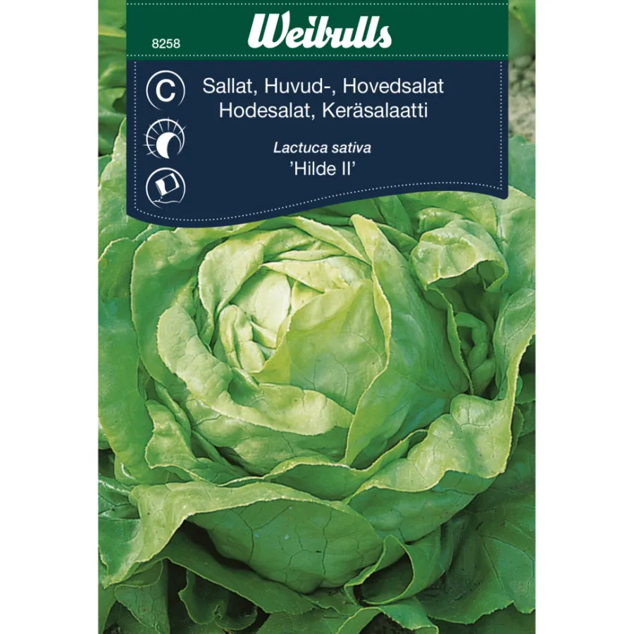 Weibulls Hodesalat 'Hilde II' | Frø
