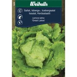 Weibulls Isbergsalat 'Great Lakes' | Frø