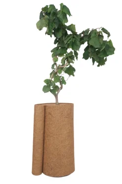 Garden Kokosmatte 50 x 150 cm - ® | Vinterbeskyttelse Til Planter