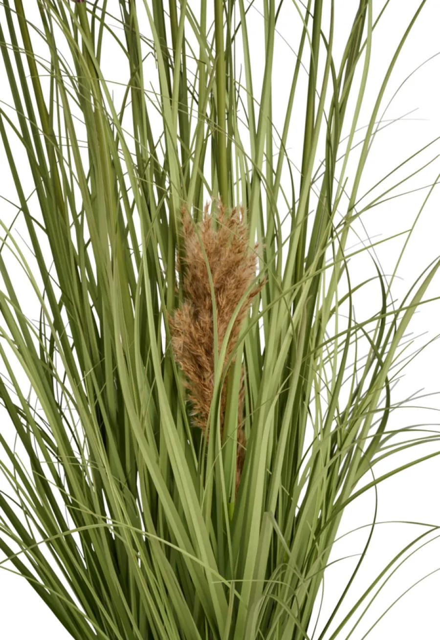 Kunstgress med ekte pampas 120 cm | Kunstige Planter