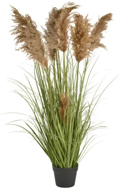 Kunstgress med ekte pampas 120 cm | Kunstige Planter