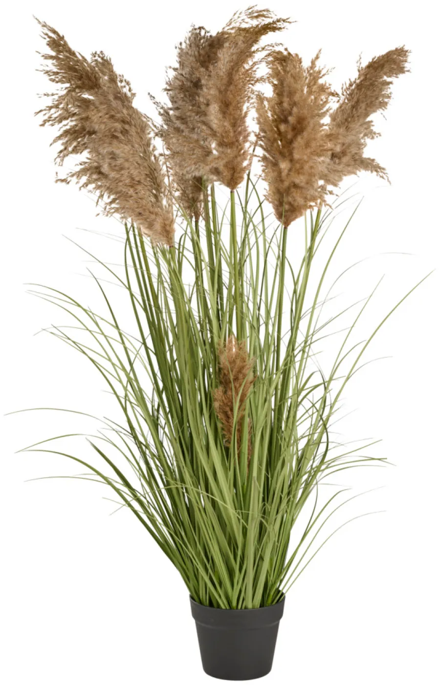 Kunstgress med ekte pampas 120 cm | Kunstige Planter