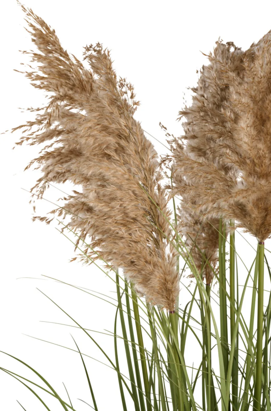 Kunstgress med ekte pampas 120 cm | Kunstige Planter