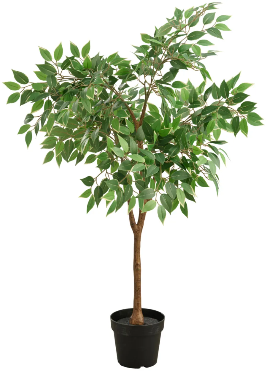 DAY Kunstig ficustre H125 cm utendørs - | Kunstige Planter