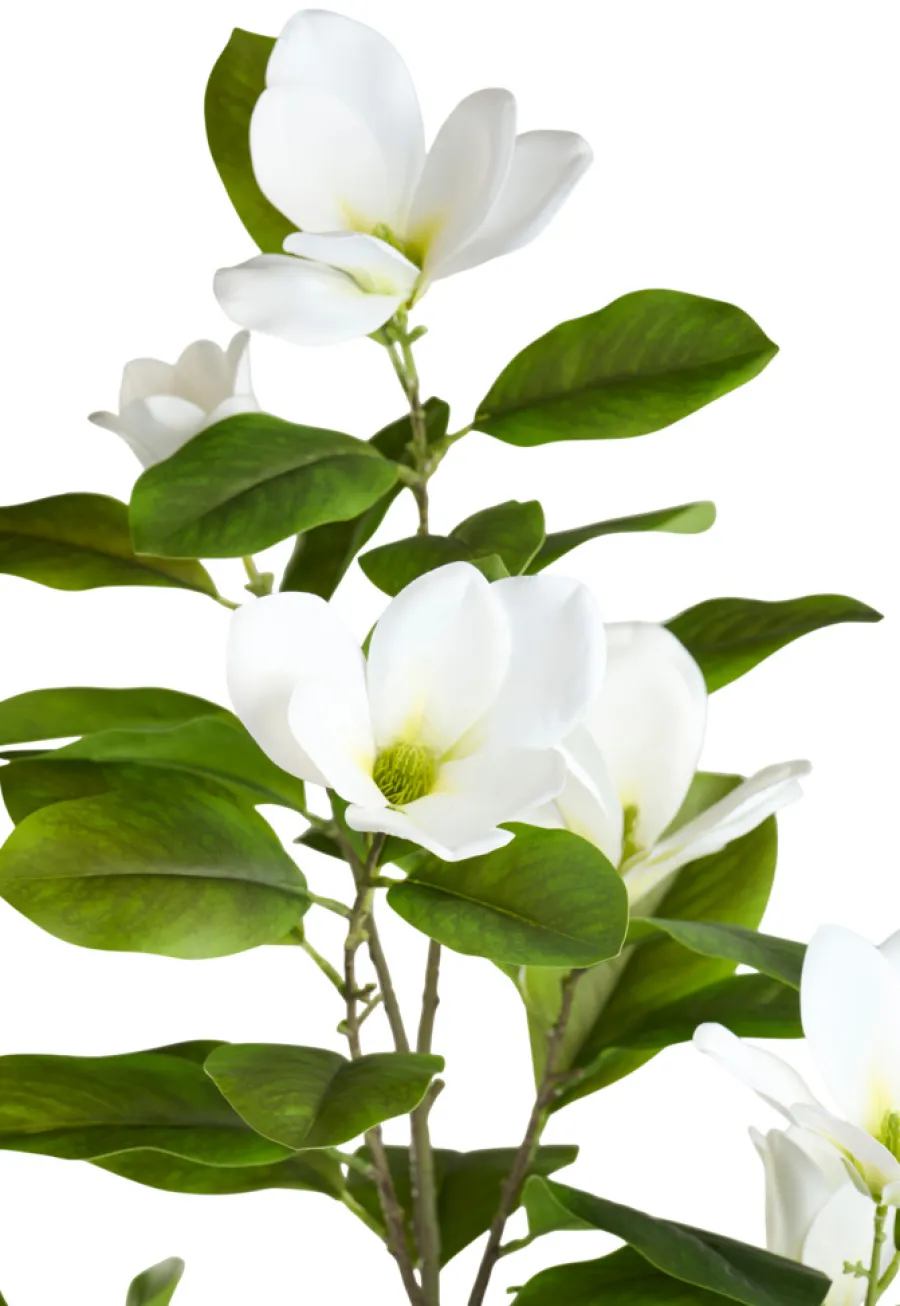 Kunstig magnoliatre 110 cm | Kunstige Planter