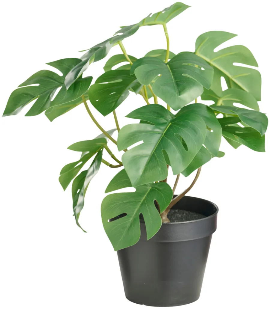 DAY Kunstig monstera plante i potte H32 cm innendørs - | Kunstige Planter|Boliginnredning