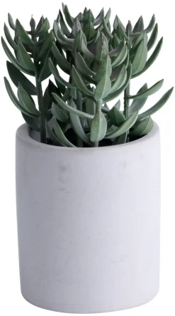 Kunstig plante tetragona H19 cm | Kunstige Planter