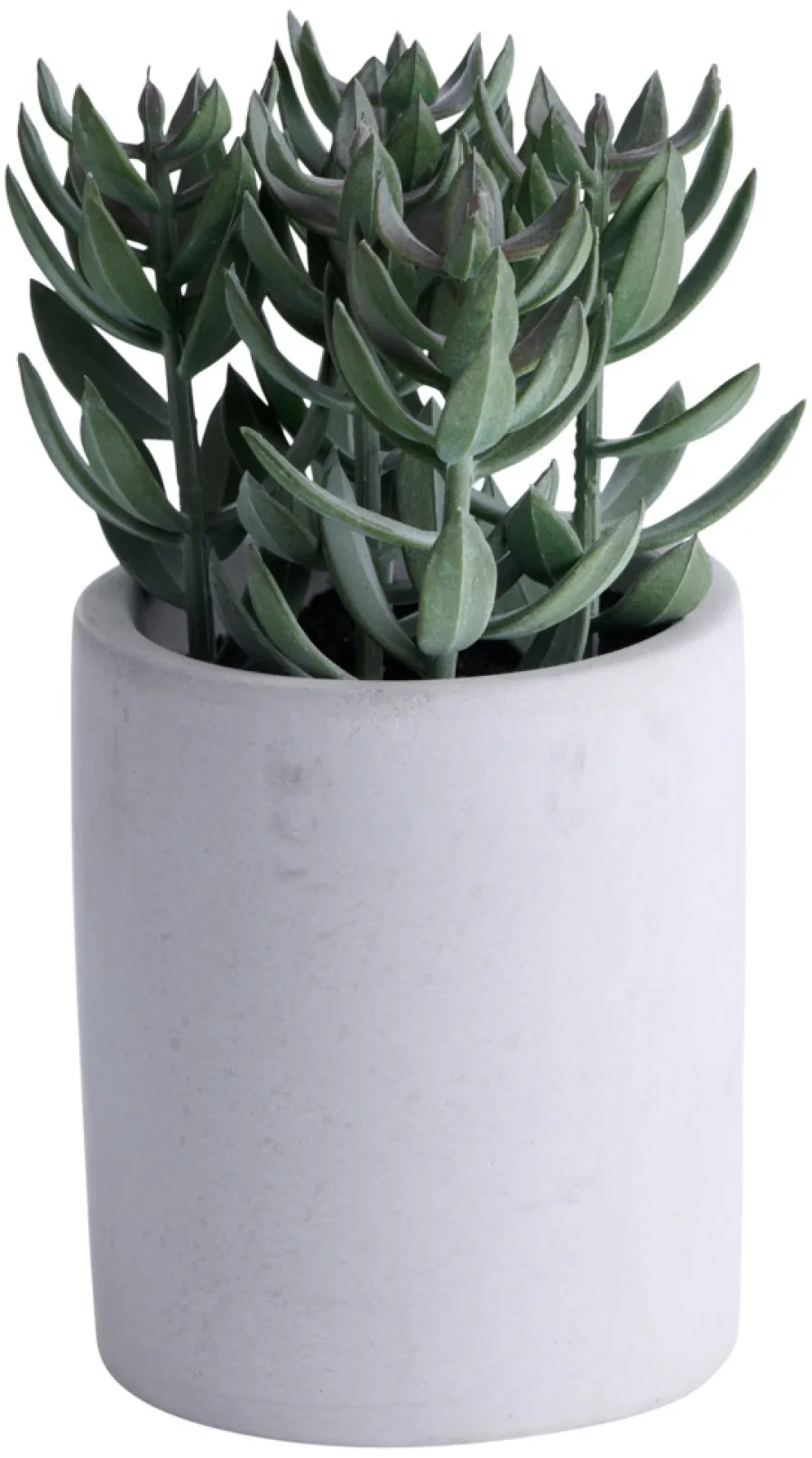 Kunstig plante tetragona H19 cm | Kunstige Planter