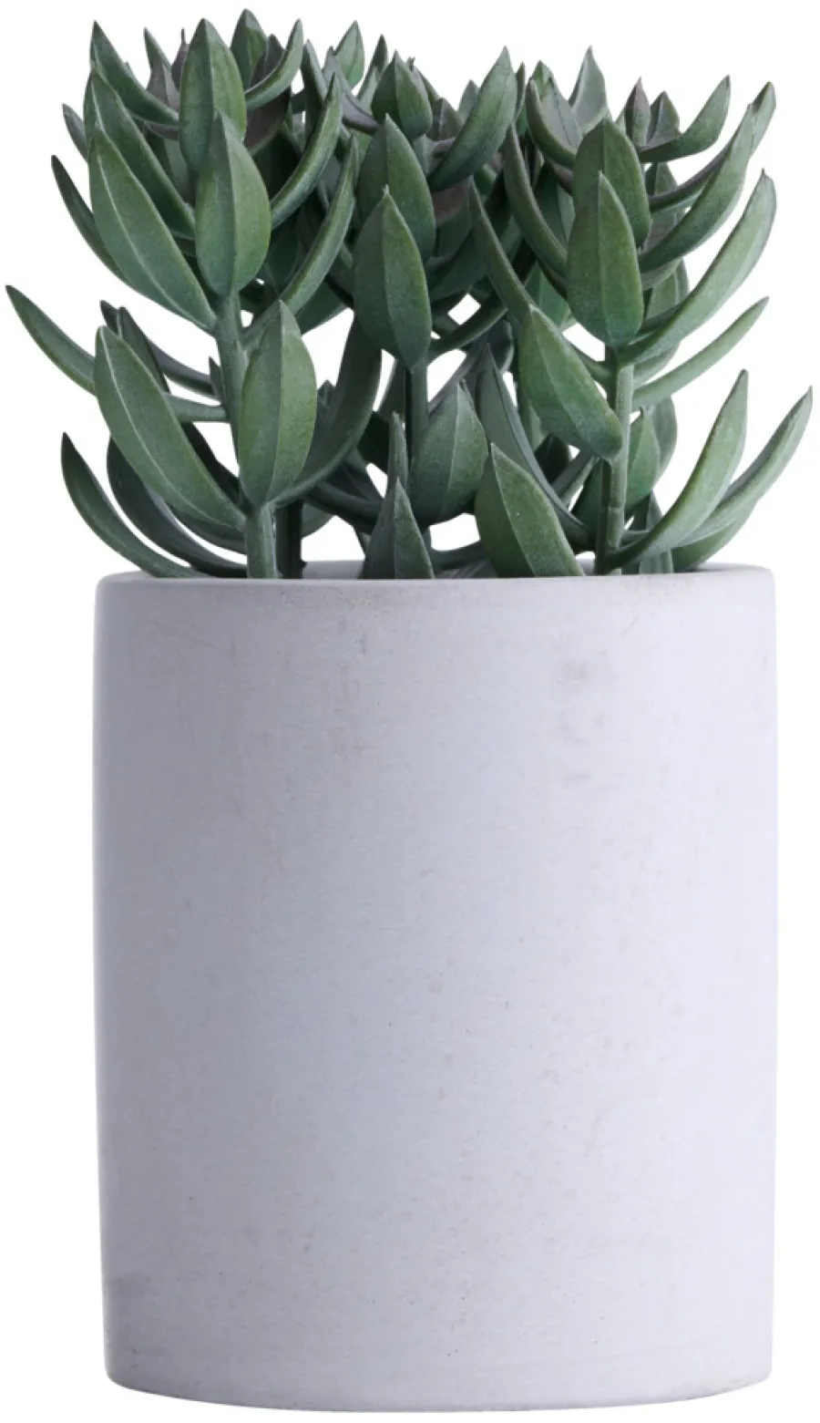 Kunstig plante tetragona H19 cm | Kunstige Planter