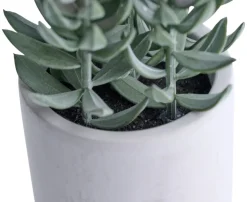 Kunstig plante tetragona H19 cm | Kunstige Planter