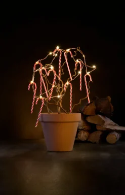 Stemning Lyskjede med julestokker med 20 LED og timer 1,9 meter | Dekorativ Belysning - Innendørs