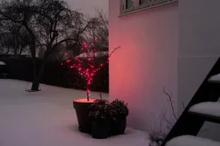 Stemning Lysslynge 100 LED-pærer rød 9,9 meter | Dekorativ Belysning - Utendørs