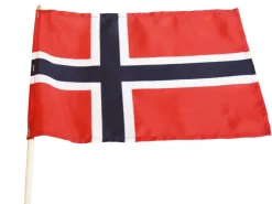 Festplassen 17. mai flagg 20 x 28 cm | Flagg & Tilbehør Til Flaggstang
