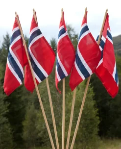 Festplassen 17. mai flagg 20 x 28 cm | Flagg & Tilbehør Til Flaggstang