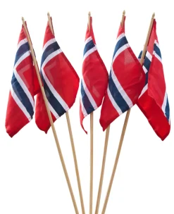 Festplassen 17. mai flagg 20 x 28 cm | Flagg & Tilbehør Til Flaggstang