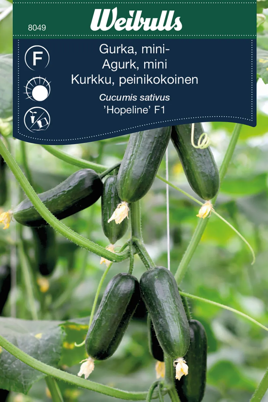 Weibulls Miniagurk, 'Hopeline F1' | Frø