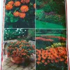 Plantejord 40 liter | Jord