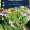 Weibulls Plukksalat - 'Amerikanischer Brauner' | Frø