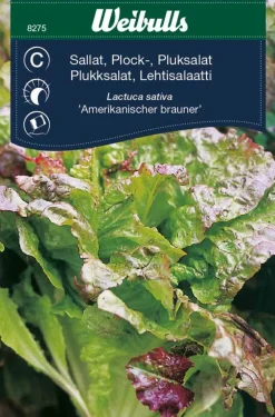 Weibulls Plukksalat - 'Amerikanischer Brauner' | Frø