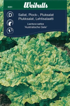 Weibulls Plukksalat "Australische Gele" | Frø