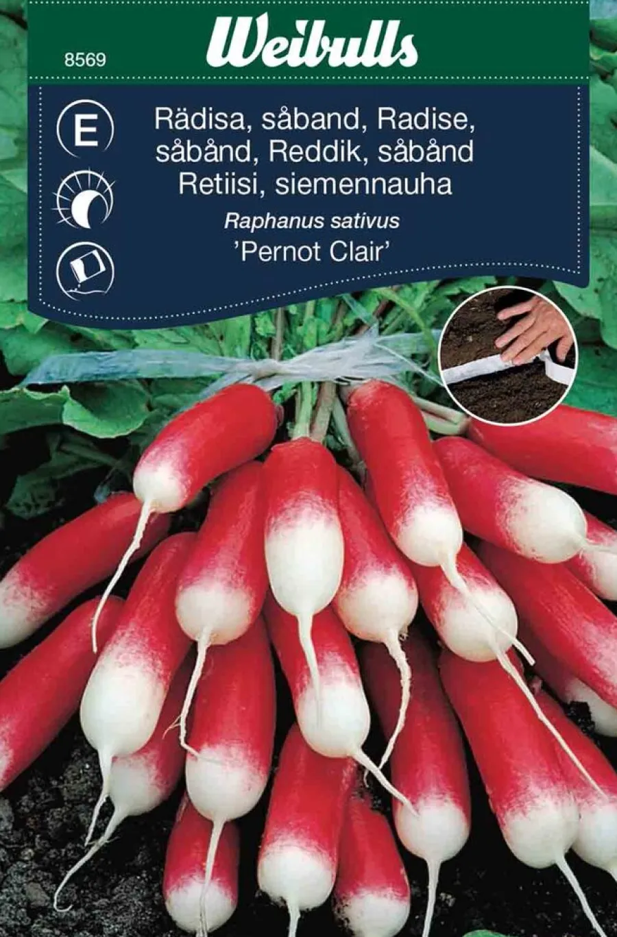 Weibulls Reddik (lang såbånd) - Pernot Claire | Frø