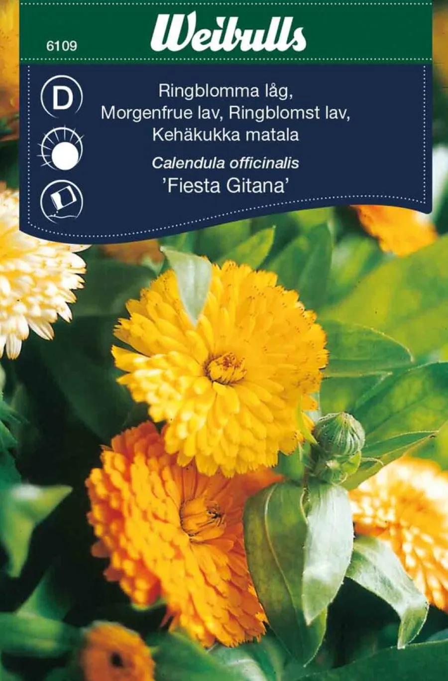 Weibulls Ringblomst lav 'Fiesta Gitana' | Frø