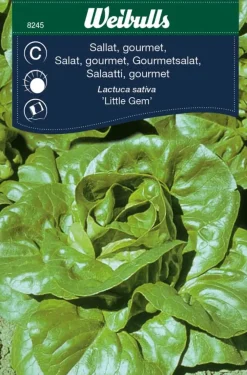Weibulls Salat, gourmet 'Little Gem' | Frø