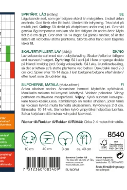 Weibulls Skallert, lav 'Petit Provencal' | Frø