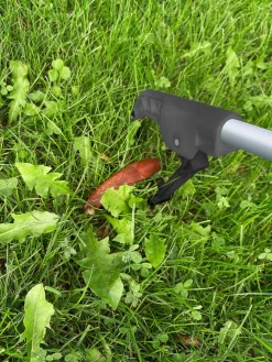 Garden Sneglefanger/-oppsamler L: 92,5 cm – ® | Øvrige Hageredskaper