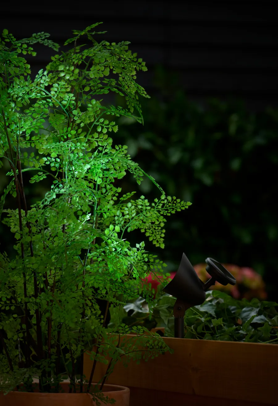 Garden Solcellelampe Spotlight 19 cm - ® | Solcellelamper