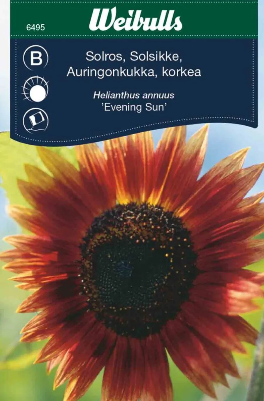Weibulls Solsikke "Evening Sun" | Frø