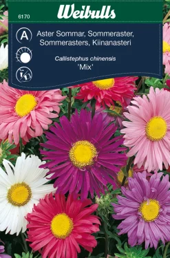Weibulls Sommerasters "Mix" | Frø