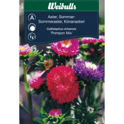 Weibulls Sommerasters - "Pompon Mix" | Frø