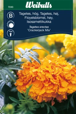 Weibulls Tagetes, høy 'Crackerjack Mix' | Frø